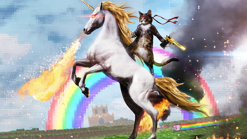 Duman tek boynuzlu atlar komik gökkuşakları nyan kedi memleri HD duvar kağıdı