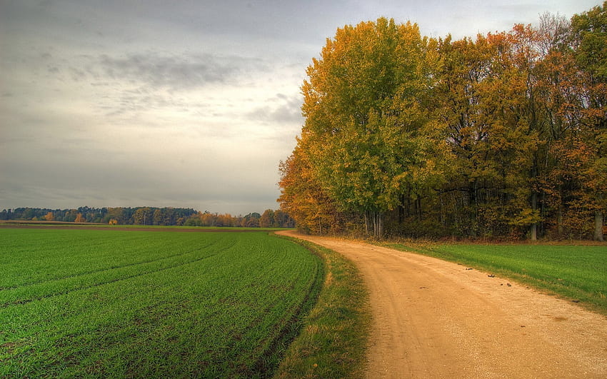 Landscape, Trees, Fields, Roads HD wallpaper | Pxfuel