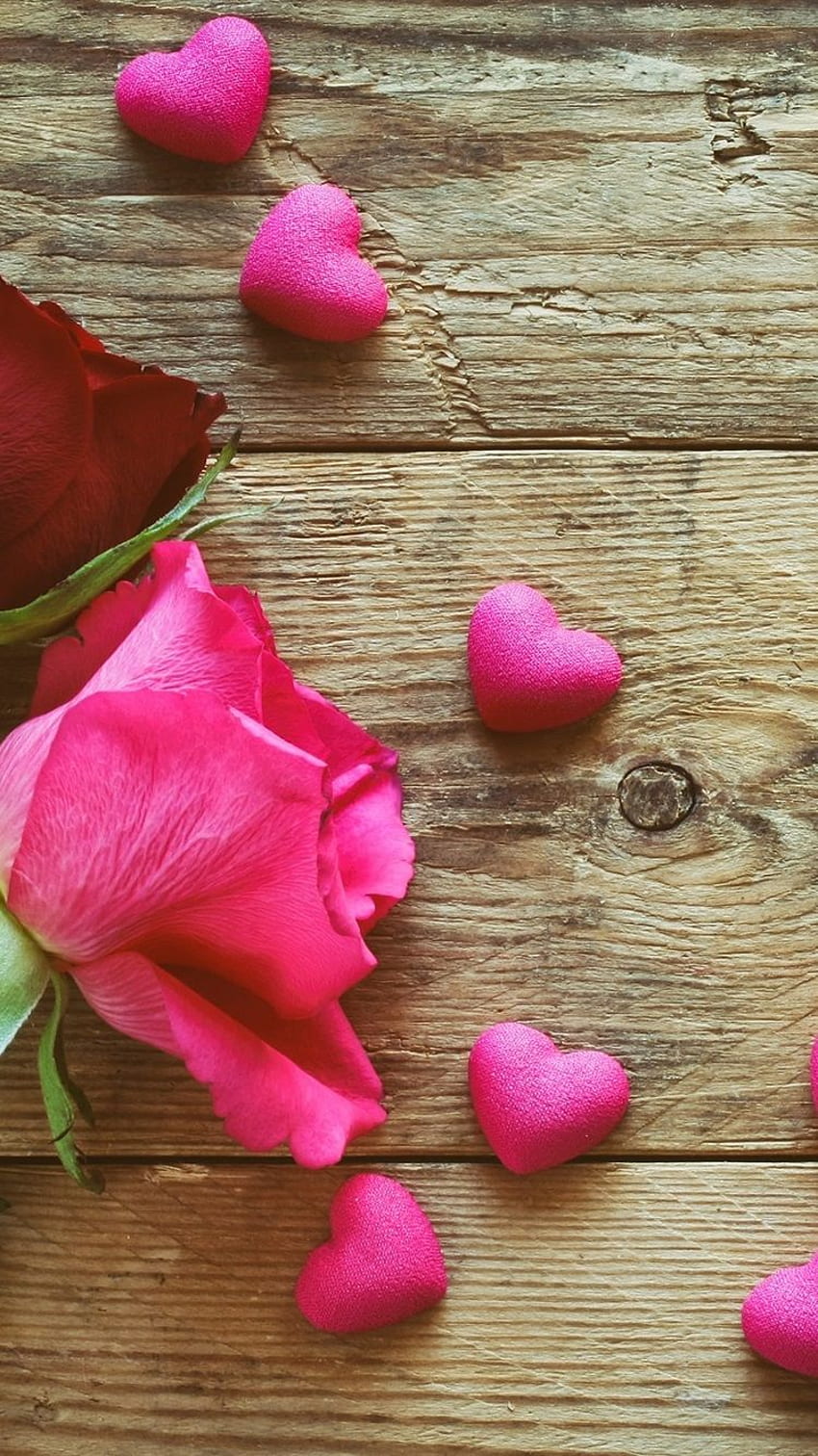 Putih, Pink, Mawar Merah, Cinta Hati IPhone 8 7 6 6S , Latar Belakang wallpaper ponsel HD