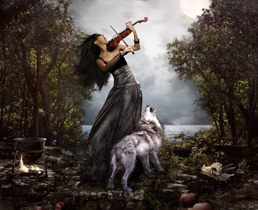Let me , wolf, violin, music, apples, singing, fog, foggy, wolves, cry, tree, lake, scull, woman, shout, love story, clouds, fire, forest, lonelyness HD wallpaper