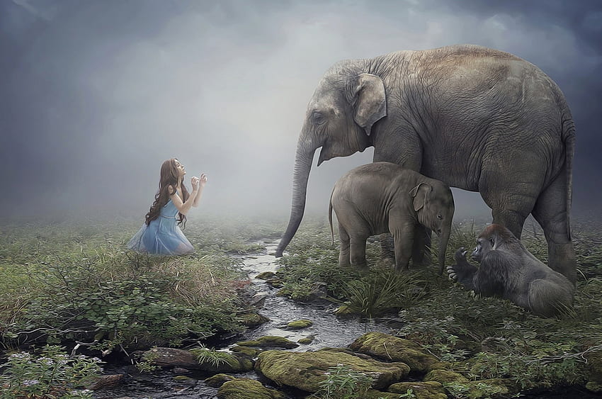 Girl and elephants, cub, cute, baby, girl, woman, creative, fantasy, family, elephant HD wallpaper