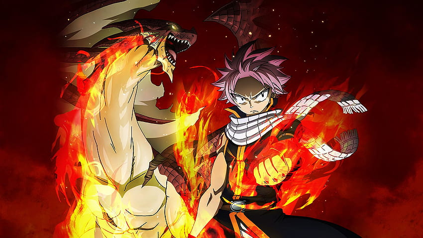 Fairy Tail Natsu Tapeta HD