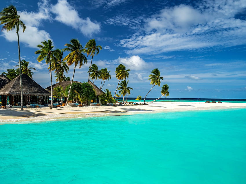 Tropical Island Maldives Indian Ocean Palm Tree Turkuaz Horizon Bungalow House Blue Sky Cloud Beach Beautiful For , Tropical House HD wallpaper