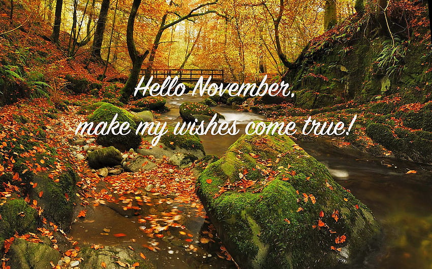 November will Surprise You, Hello November HD wallpaper | Pxfuel