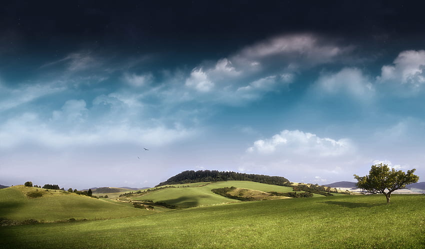 Serenity_Hilltop, blue, grass, dark, serenity, tree, rock, green, nature, sky, cloud HD wallpaper