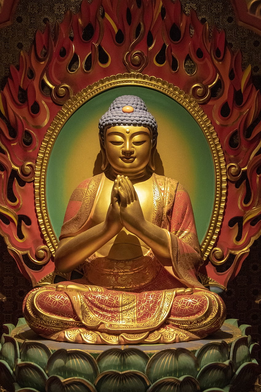 Buddha Meditation , Neon Buddha HD phone wallpaper