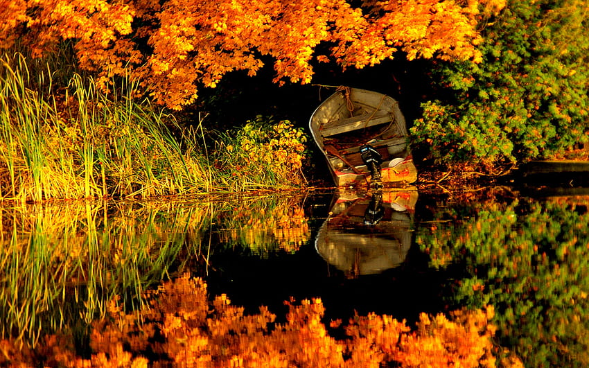 hermoso otoño, barco, colorido, colores, pacífico, belleza, reflexión, barcos, árboles, otoño, agua, caída, hermoso, hierba, lago, hojas, verde, colores otoñales, vista, naturaleza, encantador fondo de pantalla