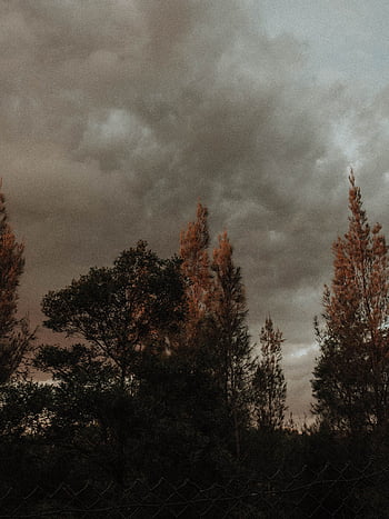 Aesthetics grunge vintage retro tumblr sky anture landscape [] for your ...