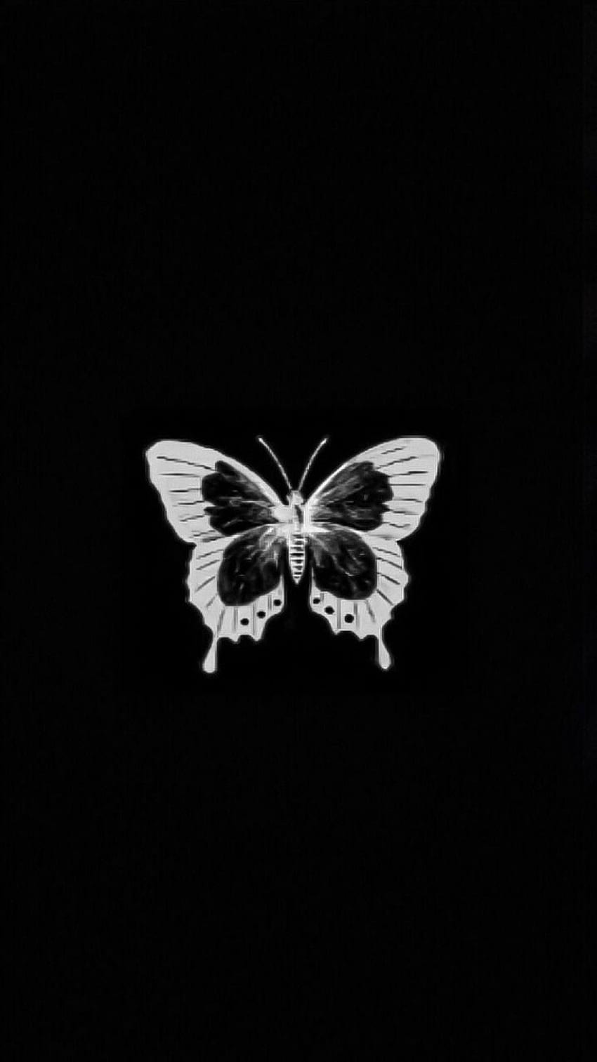 Butterfly aesthetic black HD wallpapers | Pxfuel