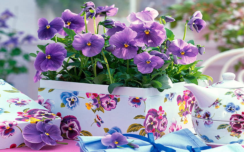 Viola Wittrockiana pansy, still life, flowers, blossoms, porcelain HD wallpaper