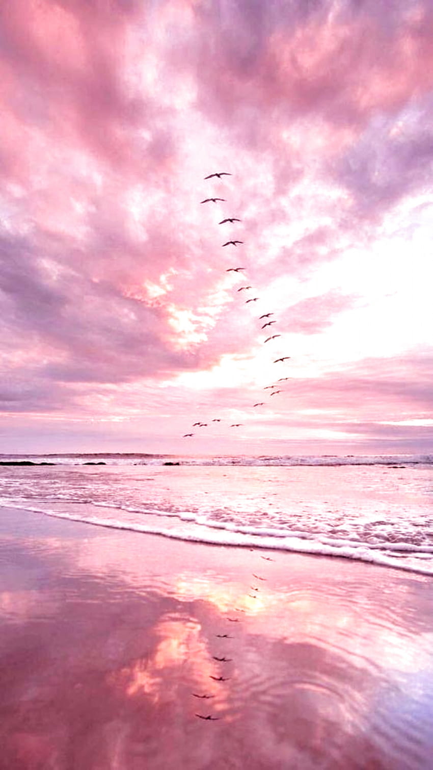 Розова естетика. Естетичен фон, Красив, iPhone океан, Розов плаж Естетичен HD тапет за телефон