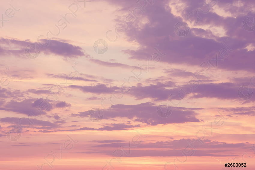 Красиви цветни розови лилави облаци върху жълто небе при залез слънце, акции, пастелен изгрев HD тапет