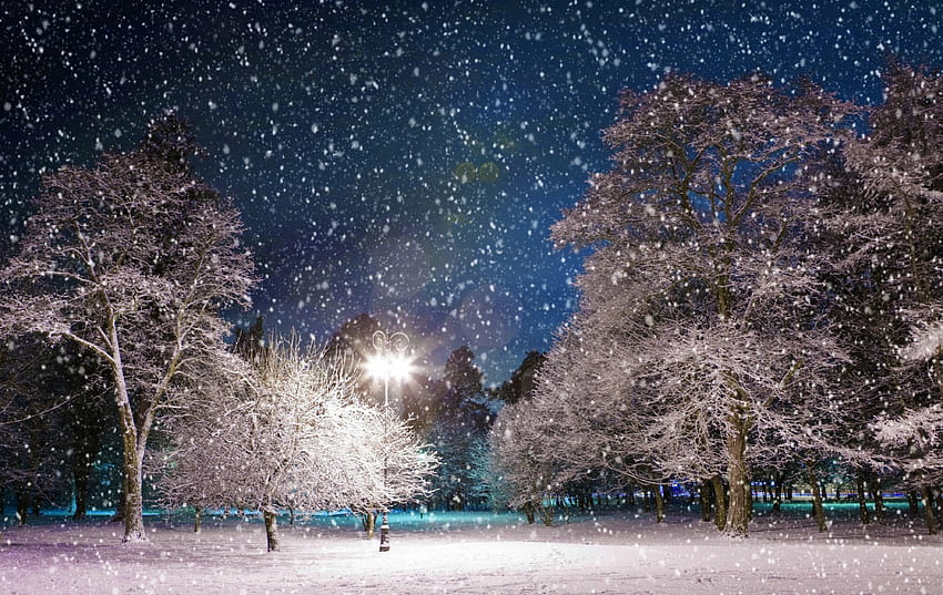 Winter evening, winter, snowflakes, snow, sky, beautiful, evening, park, snpwfall HD wallpaper
