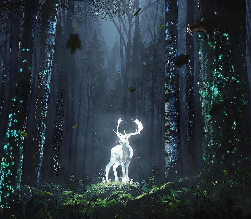 Forêt, cerf sauvage, lueur, fantaisie, art Fond d'écran HD