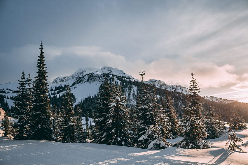 Зима, природа, планини, сняг, яде HD тапет