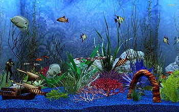 Hình nền thủy sinh bể cá chất lượng cao sẽ làm cho máy tính của bạn trở nên sống động hơn. Với những bể cá xanh tươi, con cá đa dạng, bạn sẽ như được đưa vào một thế giới thủy sinh đầy màu sắc. Sản phẩm chất lượng sẽ là sự lựa chọn hoàn hảo cho những ai yêu thích bể cá và không gian sống động. 