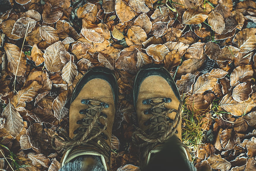 Autumn, , , Legs, Foliage, Boots, Shoes HD wallpaper