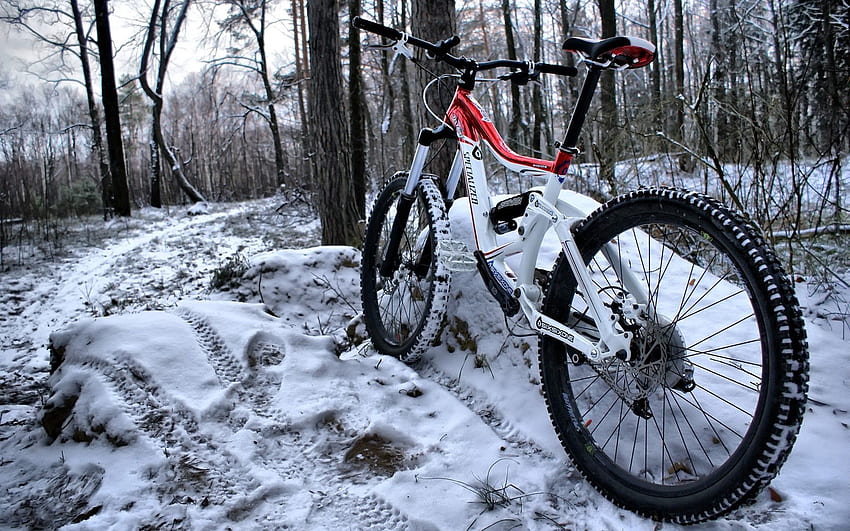 Sports, Snow, Forest, Traces, Mountain Bike HD wallpaper