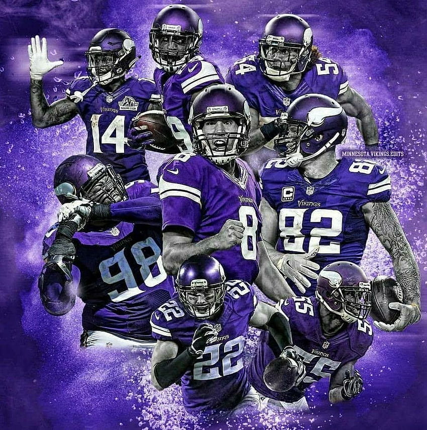 SKOL VIKES!!!!!, Minnesota Vikings HD phone wallpaper