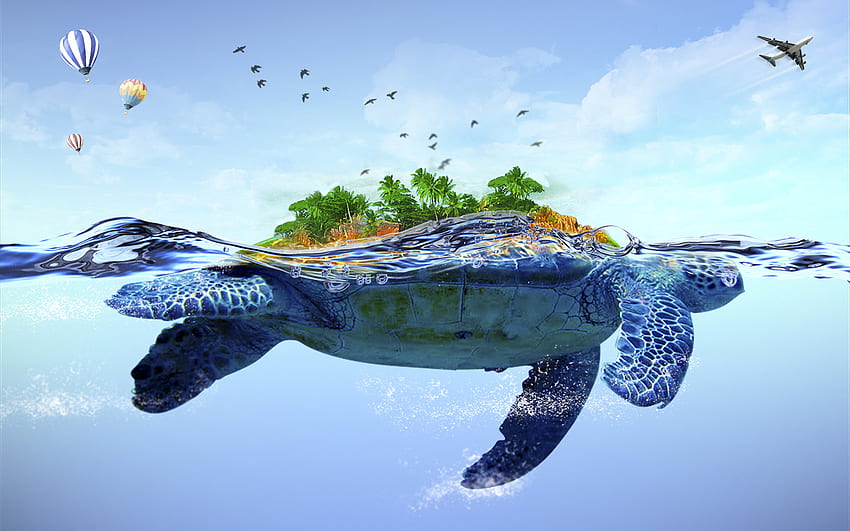 Tło żółwia dla komputera. Śliczny żółw, dziwny żółw i ciekawy żółw, żółw hawajski Tapeta HD