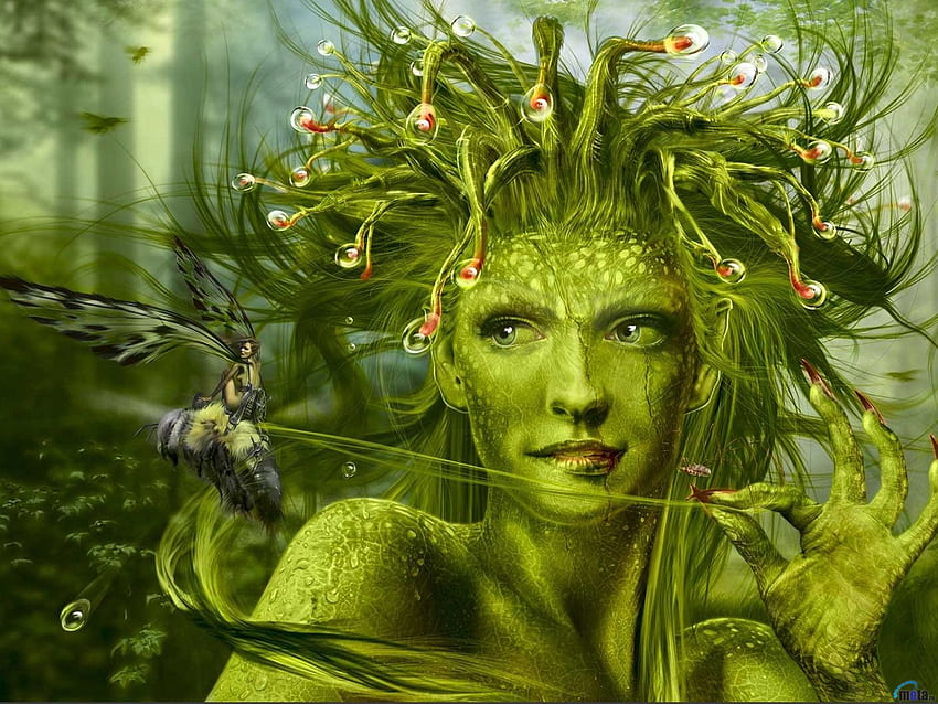 hada verde The Carnivorous Sundew Fairy de Doodledy [] para tu, móvil y tableta. Explora el jardín de hadas. Hada para computadora, jardín griego fondo de pantalla