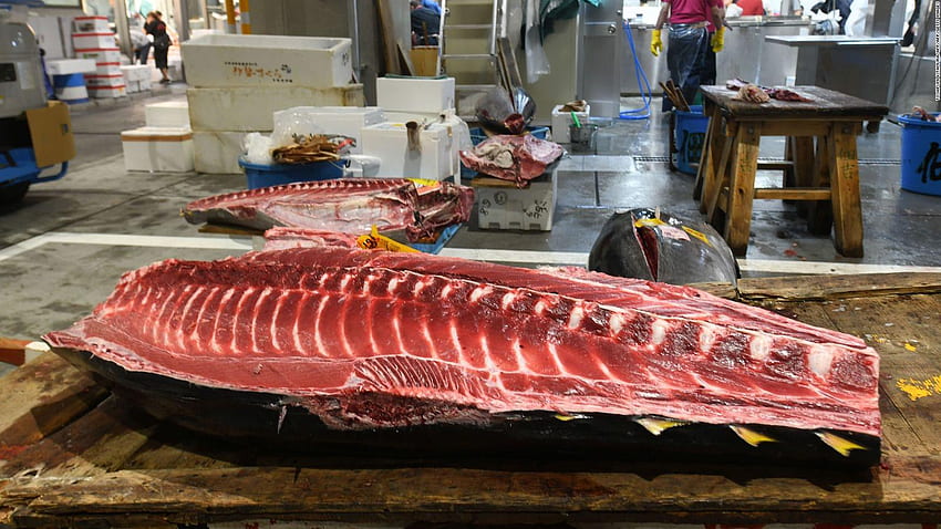 Mercado de peixe Toyosu em Tóquio abre para negócios papel de parede HD