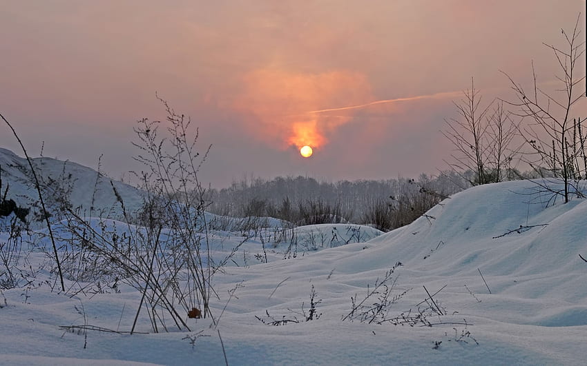 Winter, Natur, Himmel, Sonne, Glanz, Licht HD-Hintergrundbild