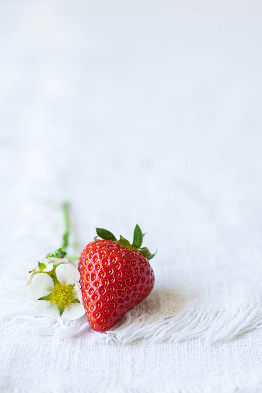 Flowers, Food, Strawberry, Cloth, Berry HD phone wallpaper