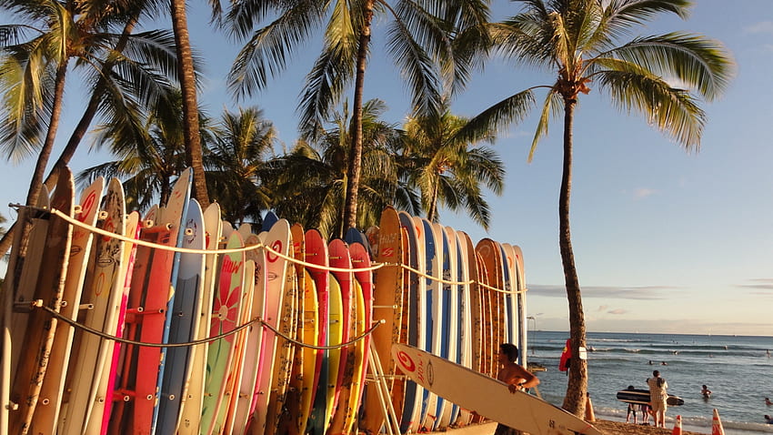 Surf Beach [] für Ihr , Handy & Tablet. Entdecken Sie Surfbrett. Surfbrettrand, Surfen für, ästhetische Brandung HD-Hintergrundbild