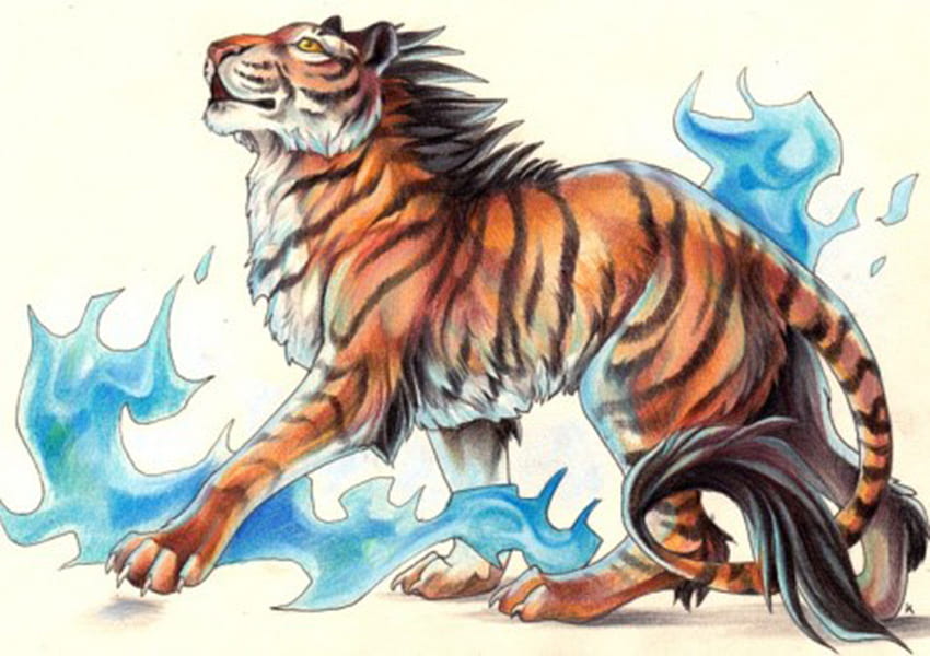 As chamas do tigre, tigre, fogo azul papel de parede HD