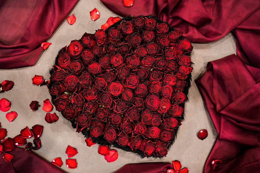 Bouquet a forma di cuore, rose rosse, fresche Sfondo HD