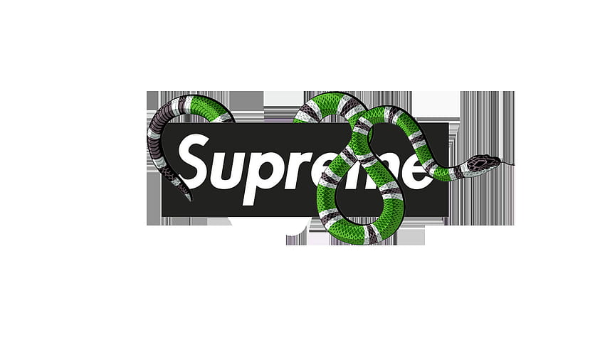 Clip Art And Gucci - Gucci Supreme Logo - , Gucci Snake Logo HD ...