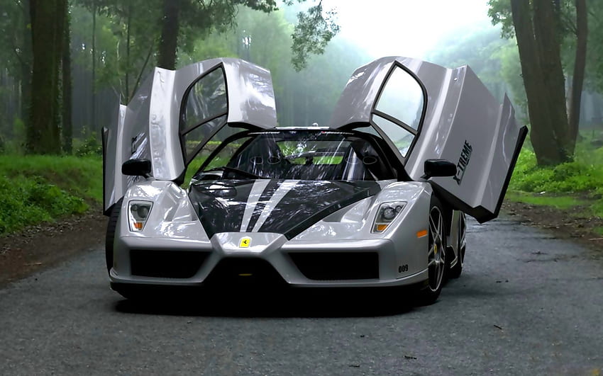 Transporte, Automóvil, Ferrari fondo de pantalla