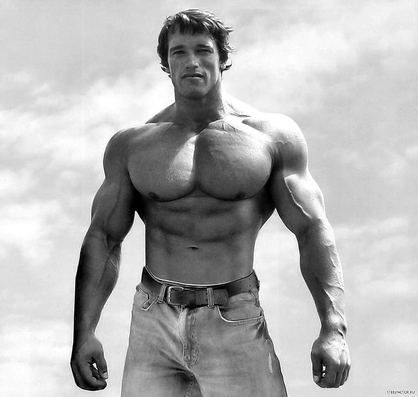 Arnold Schwarzenegger, Body Building, Black And White . Arnold Schwarzenegger Bodybuilding, Bodybuilding , Schwarzenegger Bodybuilding, Calum Von Moger HD wallpaper