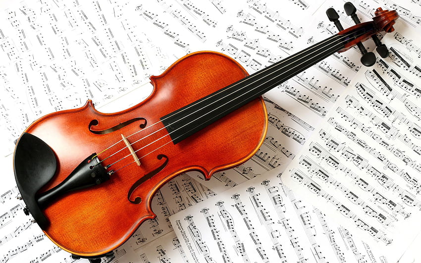 Violin and Background HD wallpaper