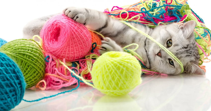 Playing kitty, kitten, colorful, fun, kitty, cute, nice, game, pet, adorable, sweet, balls, cat, beautiful, fluffy, playing, pretty, funny, joy, lovely HD wallpaper