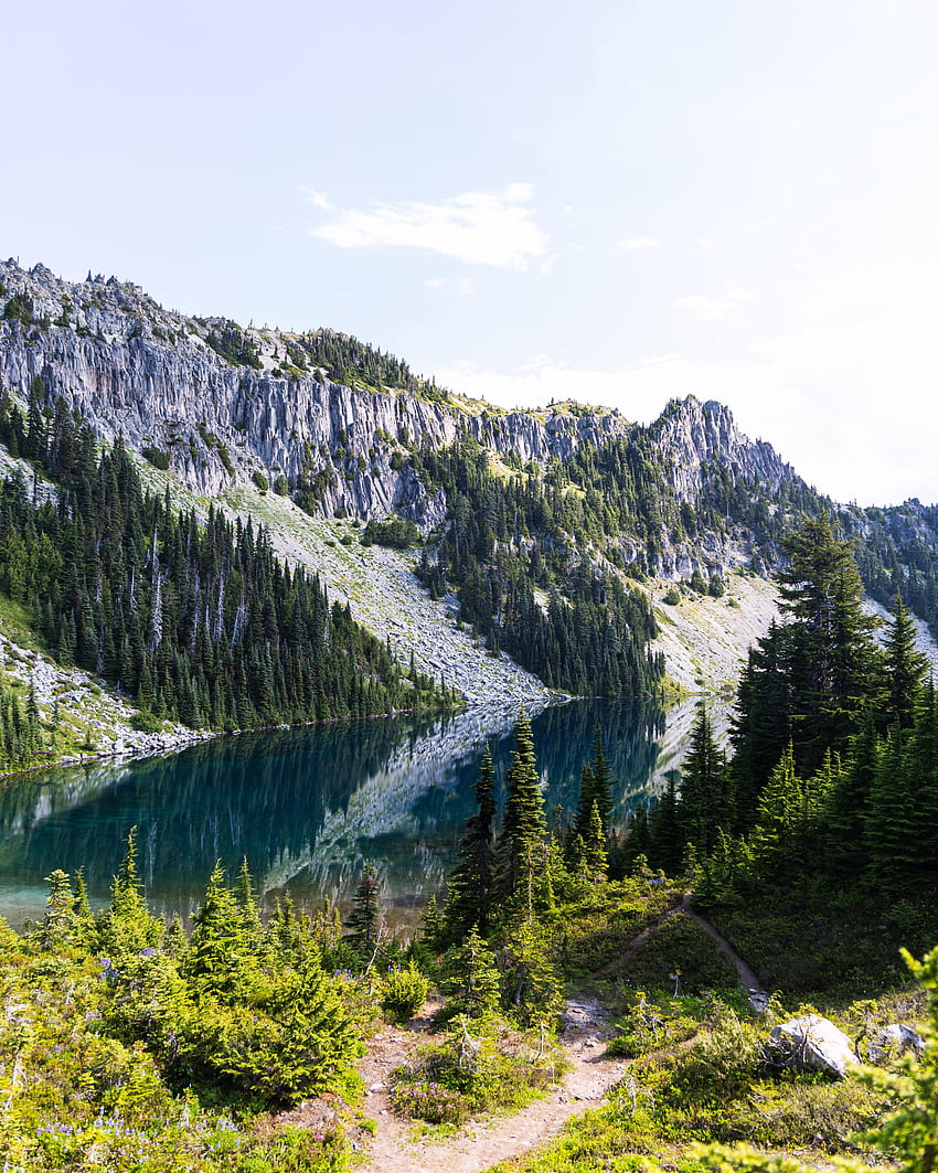 Nature, Rivers, Trees, Sky, Rocks, Fir, Spruce HD phone wallpaper | Pxfuel