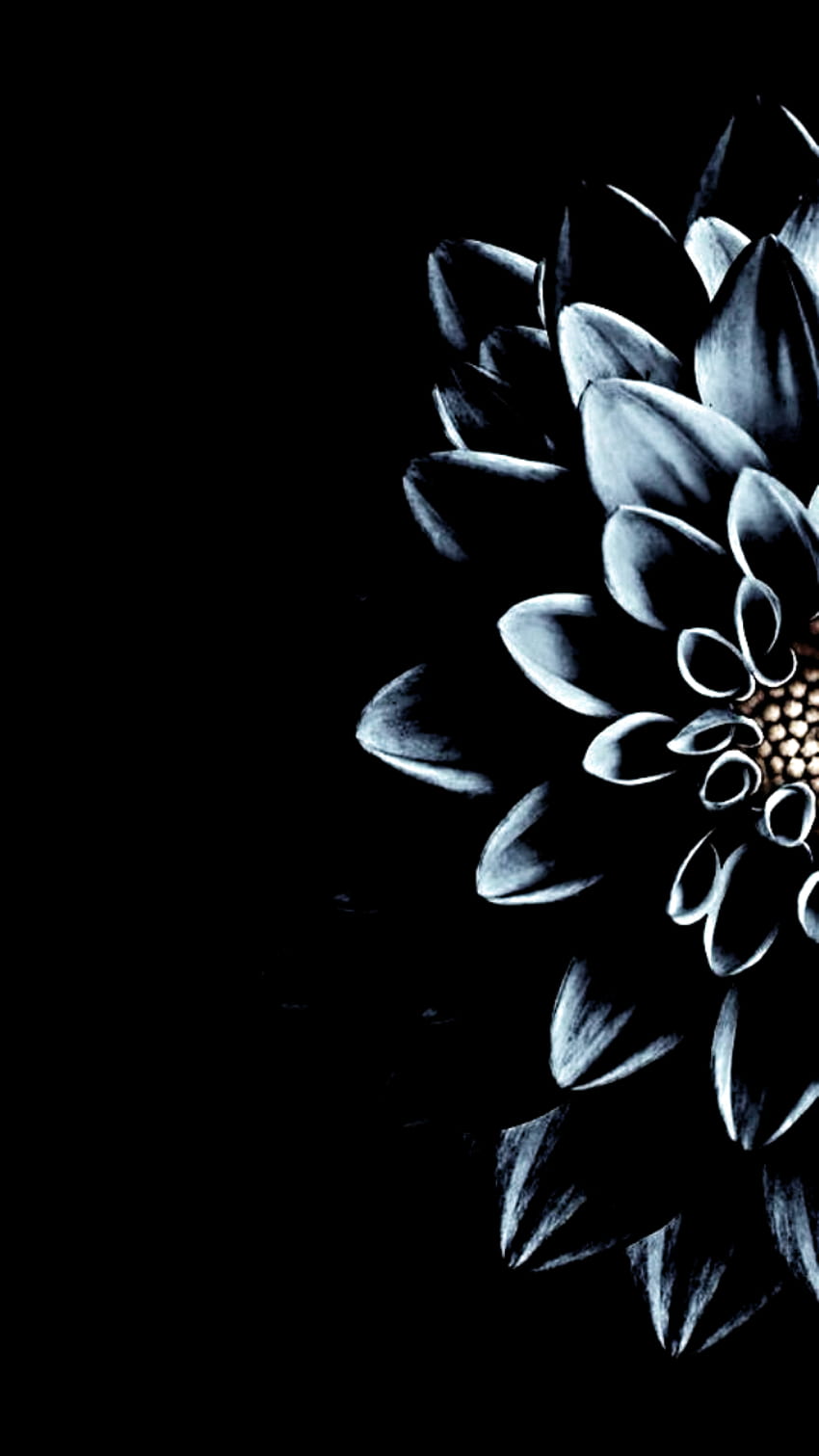 Dark Floral black aesthetic flowers HD phone wallpaper  Pxfuel