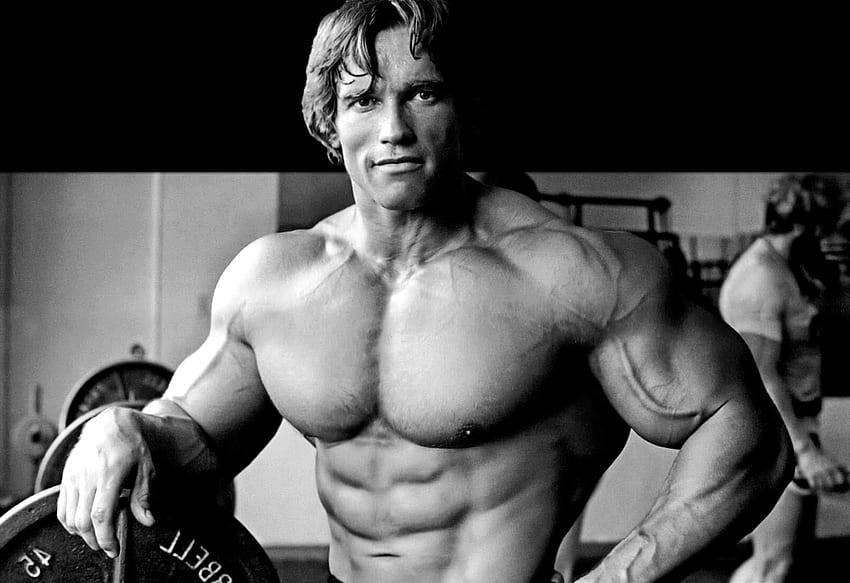 Arnold Schwarzenegger, Arnold Bodybuilding HD-Hintergrundbild