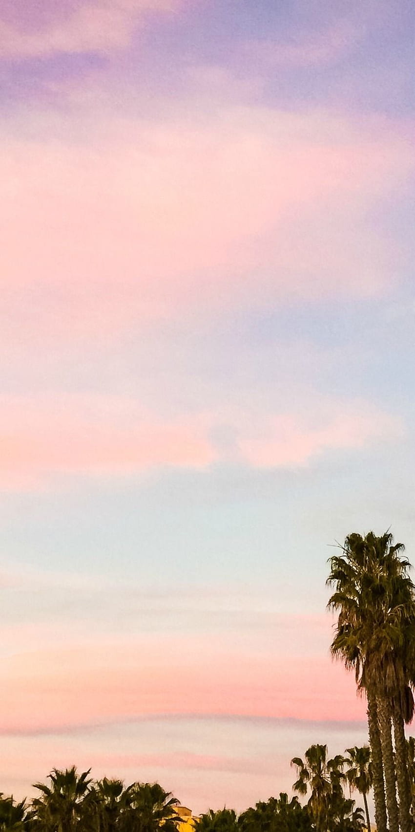 Ashley Brooke. Cotton candy sky, California sunset, Beautiful sky HD phone wallpaper
