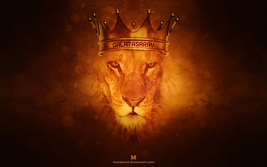 Lion Of Judah HD wallpaper