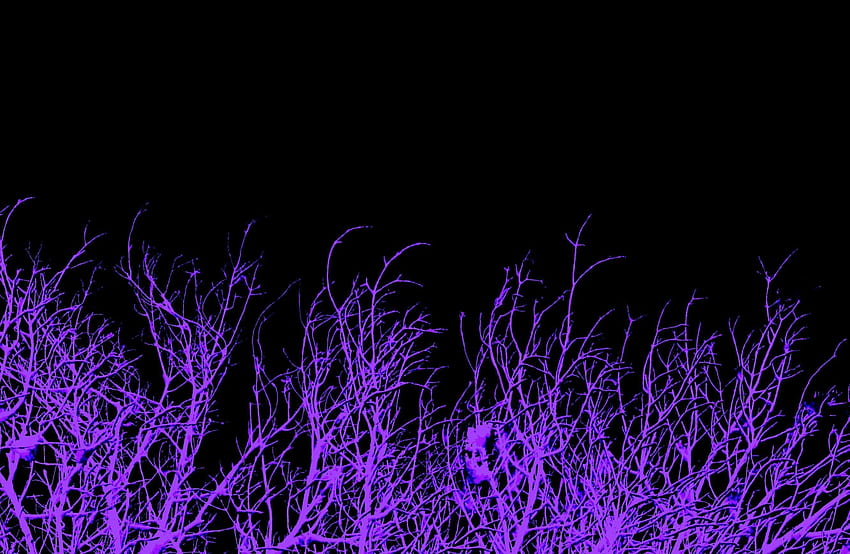 Лилав фон на Tumblr, тъмно лилава естетика HD тапет