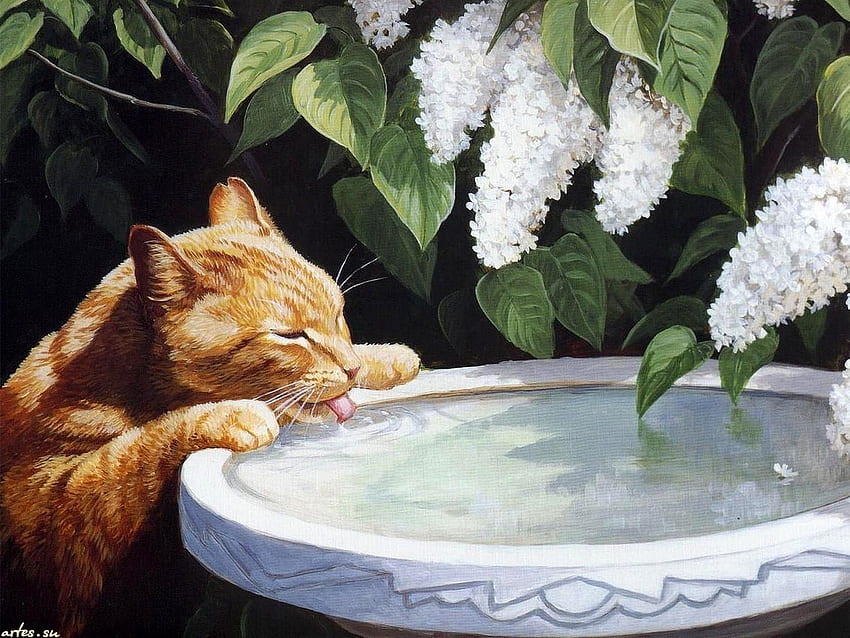 :), white, art, cat, spring, painting, pisici, pictura, flower, water, paw, persis clayton weirs, lilac HD wallpaper