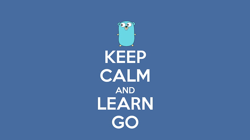 Why is GoLang clicking with my brain? HD wallpaper