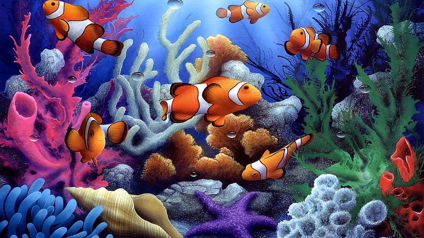 Colorful Underwater Fish, Beautiful Tropical Underwater HD wallpaper