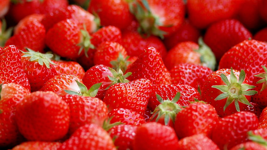Rot, frisch, reif, Erdbeere, Früchte HD-Hintergrundbild