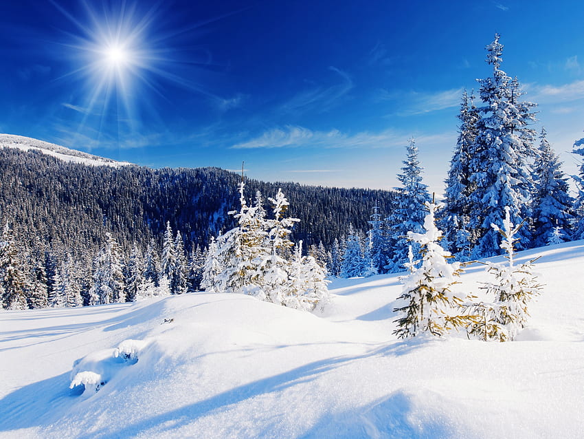 Colorado Snowy Landscape - Auli In December - HD wallpaper