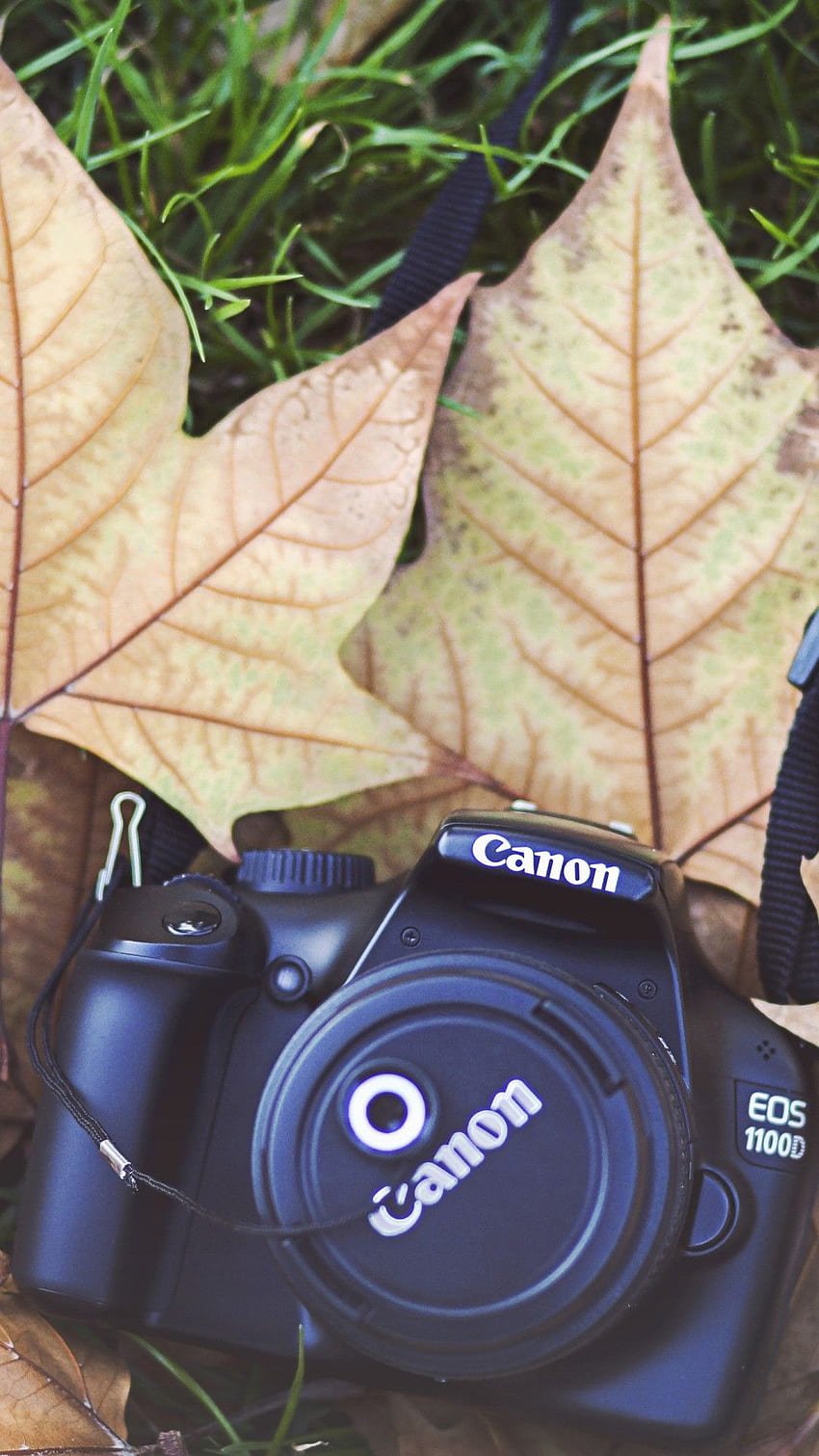 Canon Camera Autumn IPhone 6 6 Plus および IPhone 5 4 HD電話の壁紙