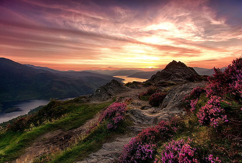 Pemandangan Dataran Tinggi Skotlandia - - - Tip, Pedesaan Skotlandia Wallpaper HD