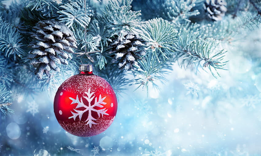 Christmas Ball Christmas Ornament Winter Pine Trees Frost HD wallpaper